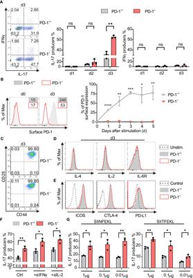PD-1 limits differentiation and plasticity of Tc17 cells